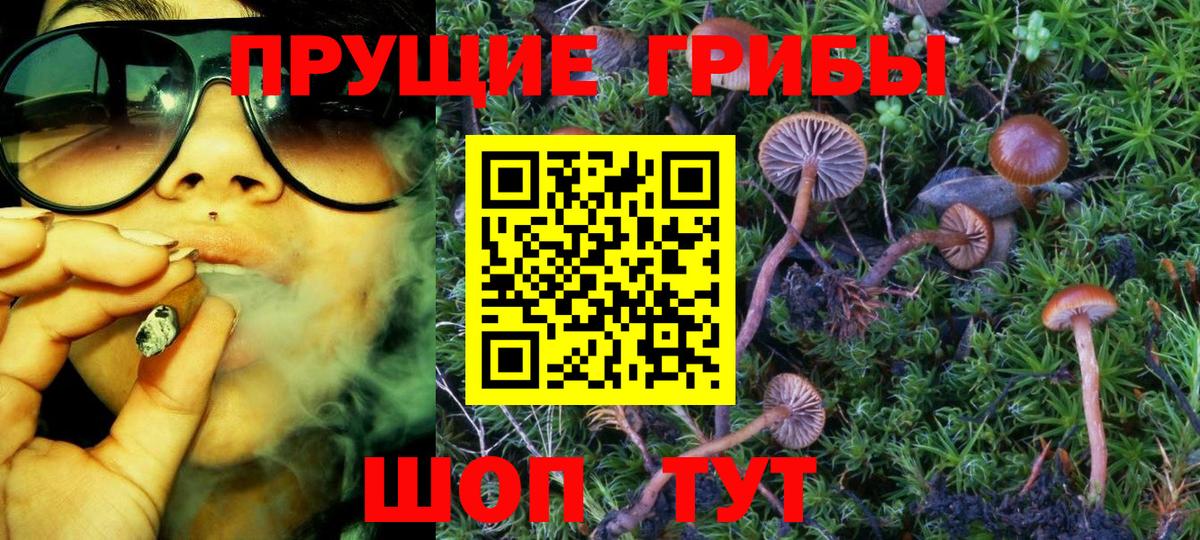 Черкесск  Галлюциногенные грибы Cubensis  цены   Галлюциногенные грибы MAGIC MUSHROOMS  Вход с VPN 